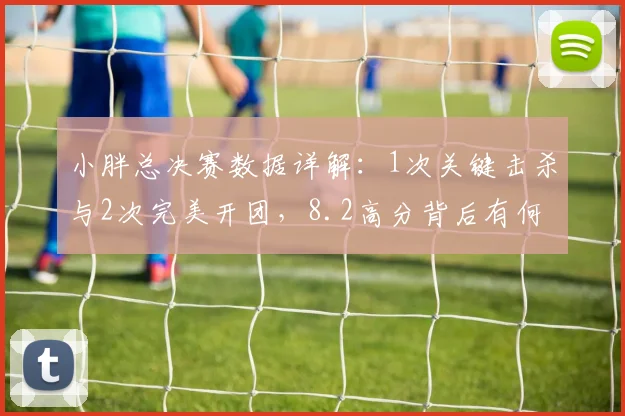小胖总决赛数据详解：1次关键击杀与2次完美开团，8.2高分背后有何战术价值？
